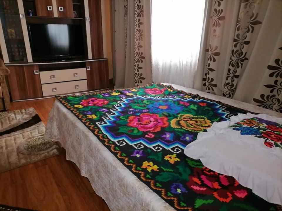 Pensiunea Brezu Sighetu Marmaţiei Εξωτερικό φωτογραφία
