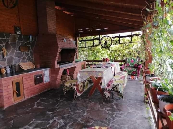Pensiunea Brezu Sighetu Marmaţiei Εξωτερικό φωτογραφία