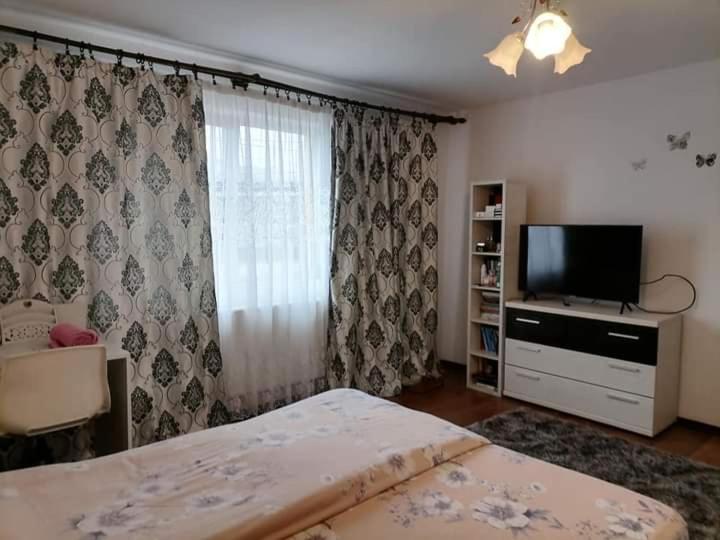 Pensiunea Brezu Sighetu Marmaţiei Εξωτερικό φωτογραφία