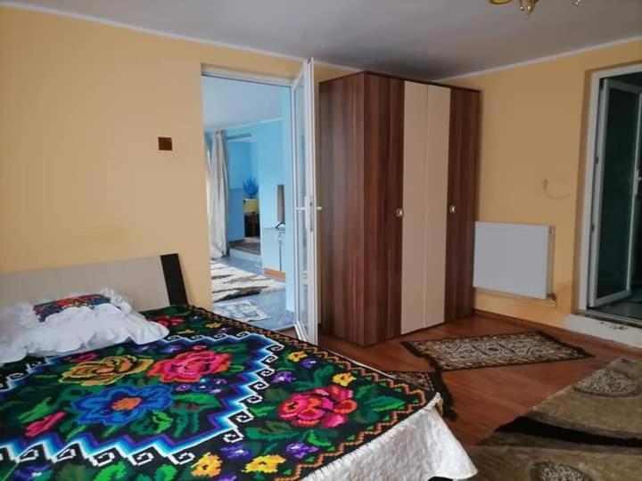 Pensiunea Brezu Sighetu Marmaţiei Εξωτερικό φωτογραφία