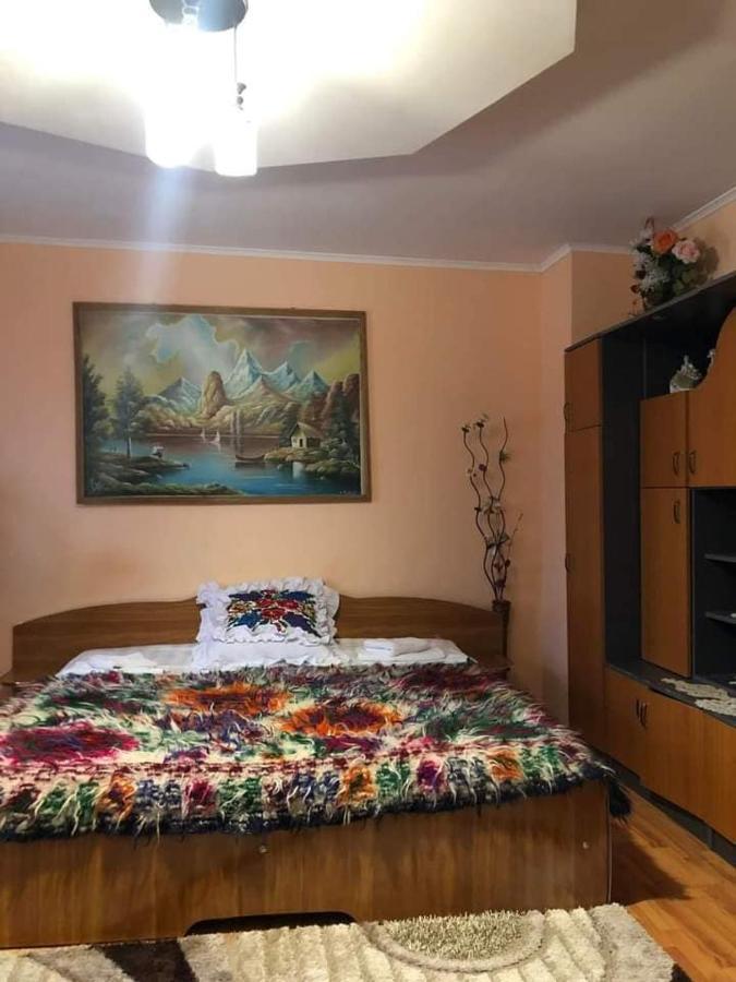 Pensiunea Brezu Sighetu Marmaţiei Εξωτερικό φωτογραφία