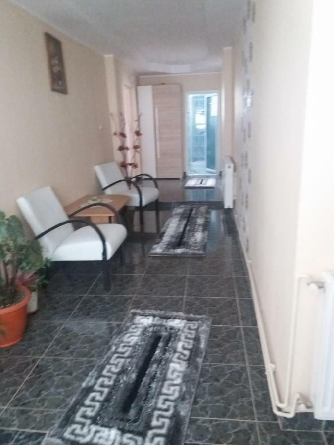 Pensiunea Brezu Sighetu Marmaţiei Εξωτερικό φωτογραφία